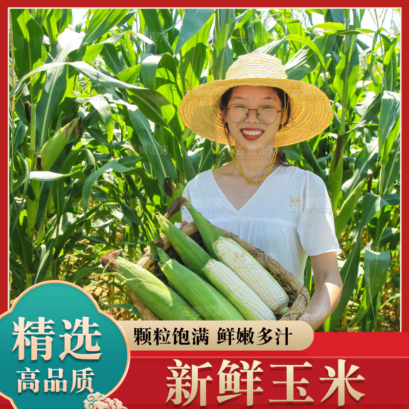手里拿着牛奶玉米