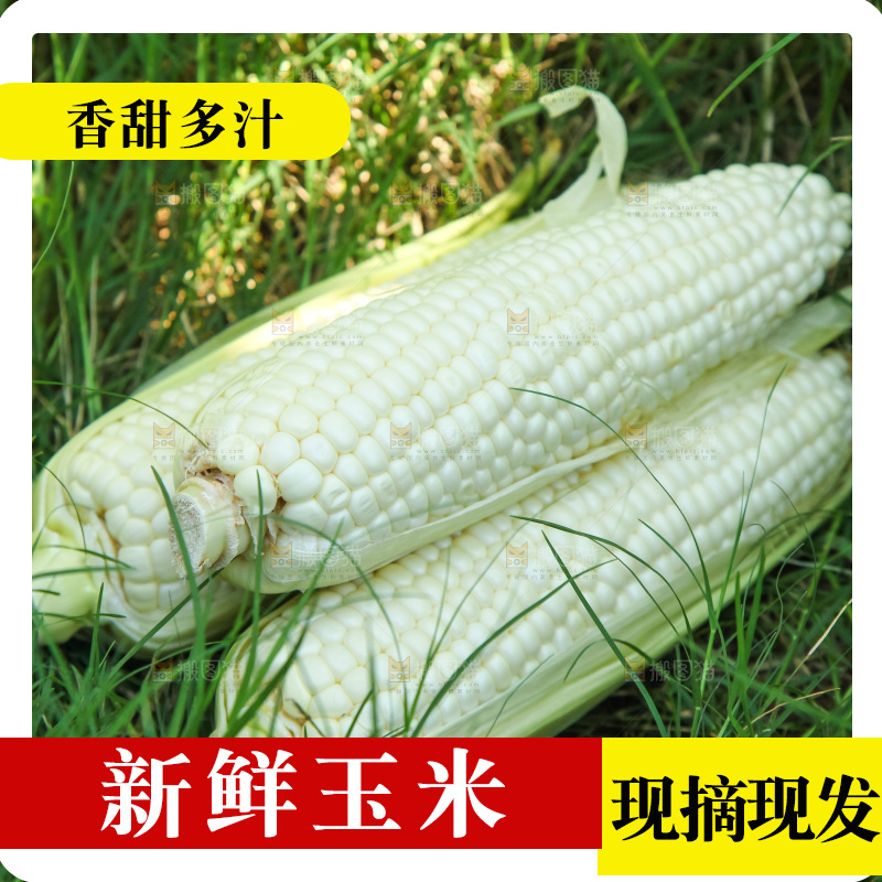 手里拿着牛奶玉米