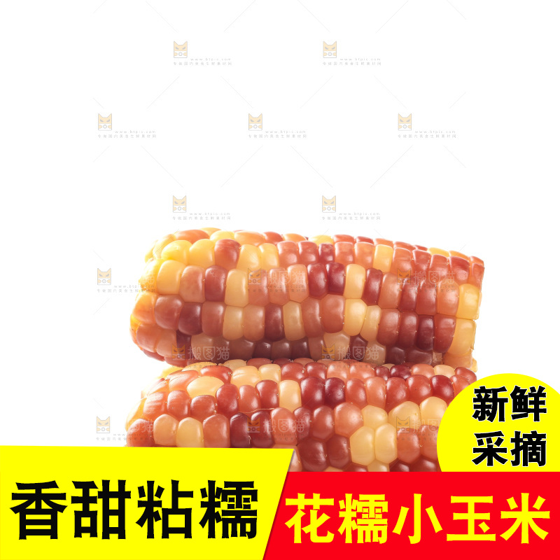 白底上的小花糯玉米