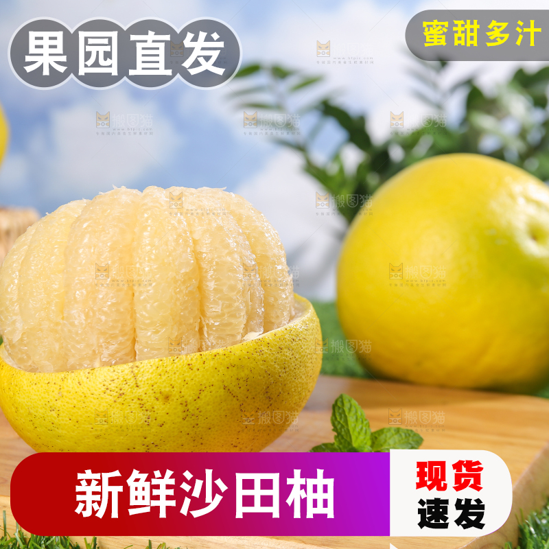 浅底上的沙田柚