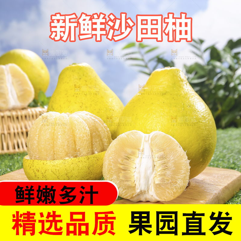 浅底上的沙田柚