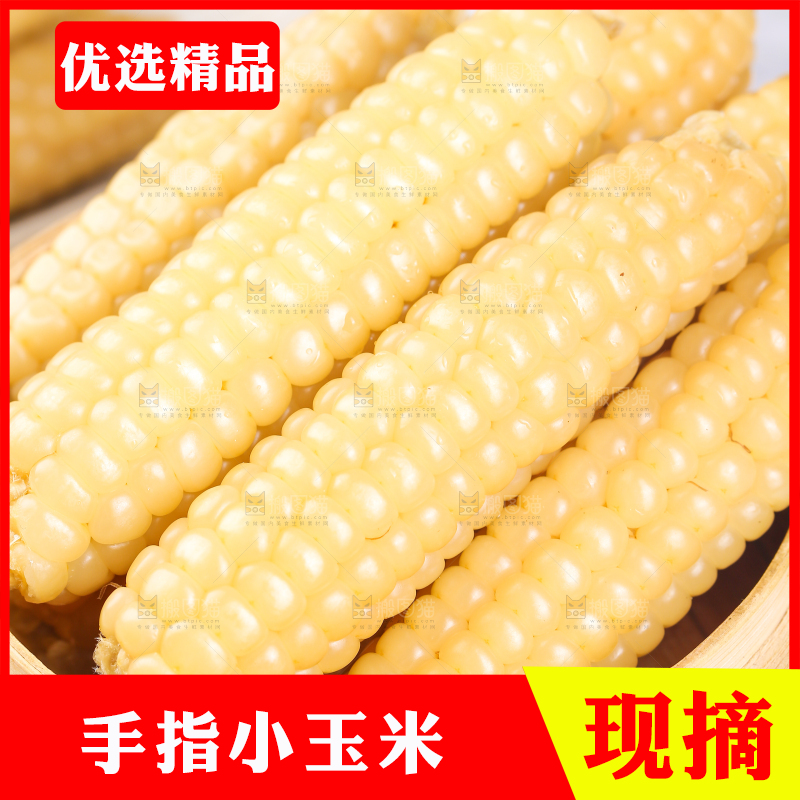 浅底上的手指糯玉米