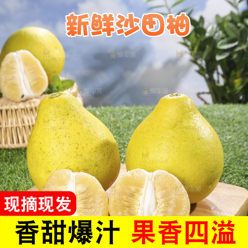 浅底上的沙田柚
