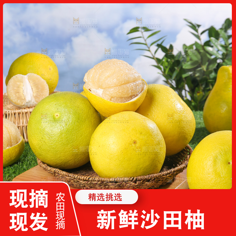 浅底上的沙田柚