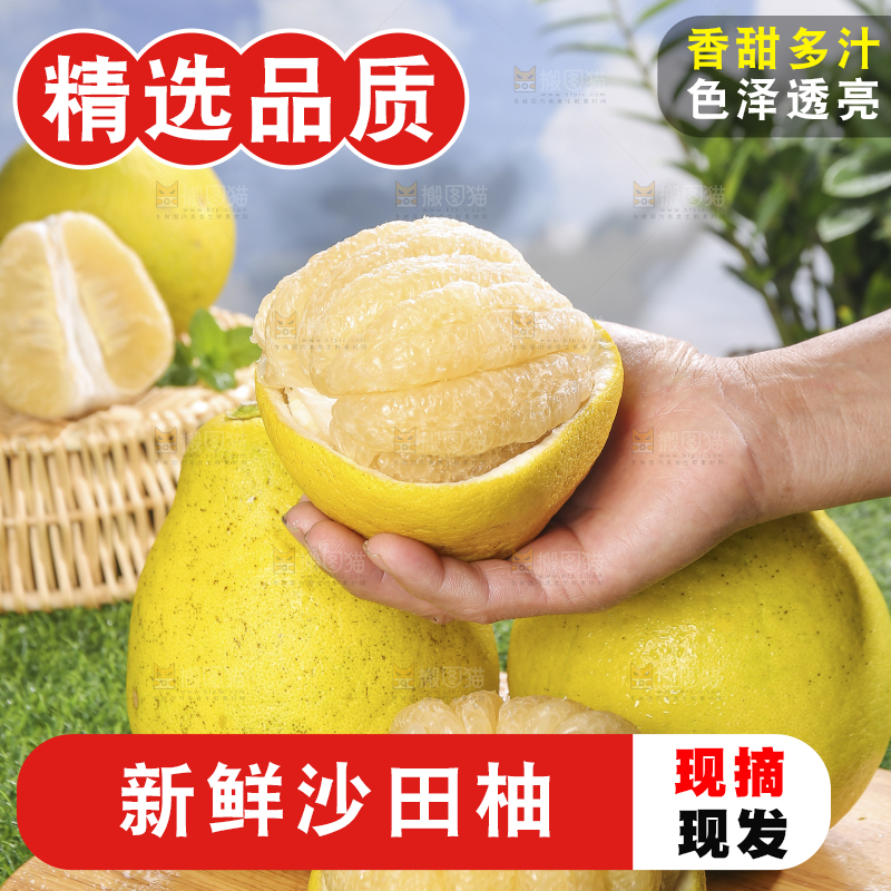 浅底上的沙田柚