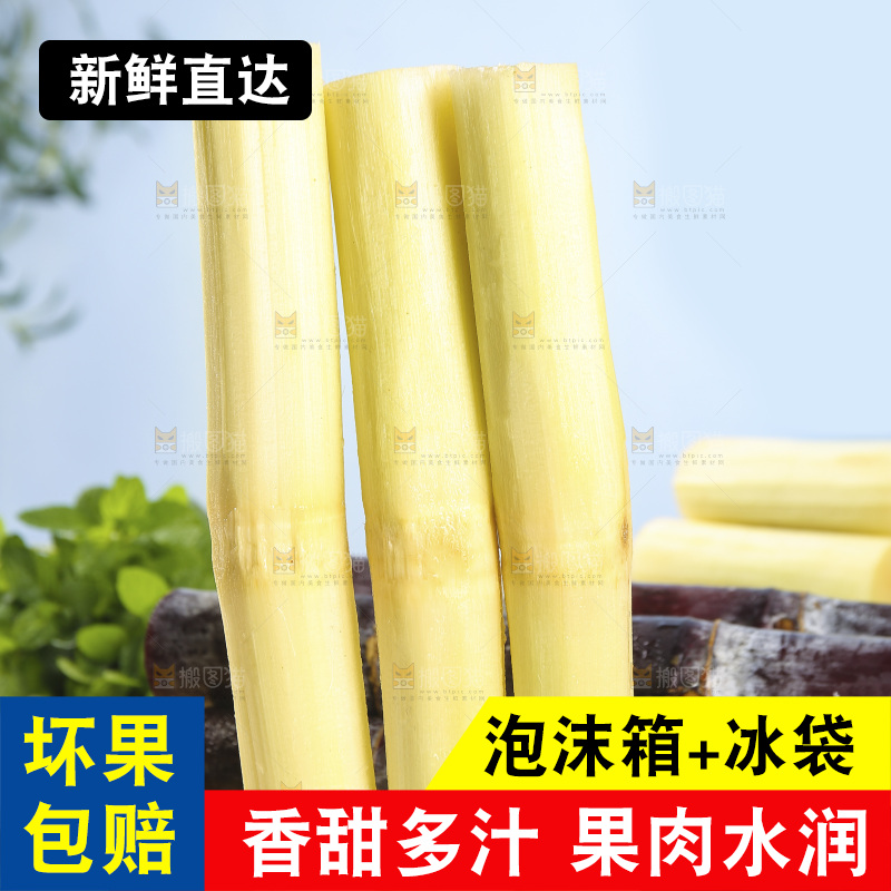 浅底上的黑皮甘蔗