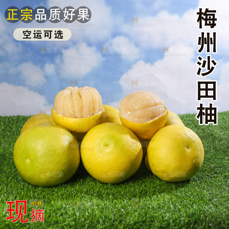 浅底上的沙田柚