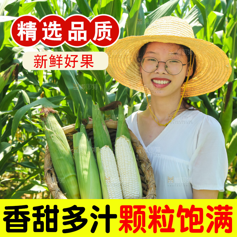 手里拿着牛奶玉米