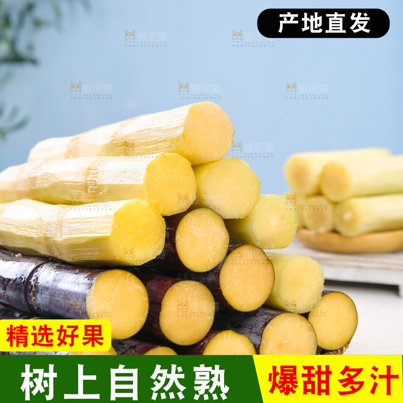 浅底上的黑皮甘蔗