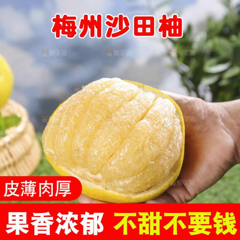 浅底上的沙田柚