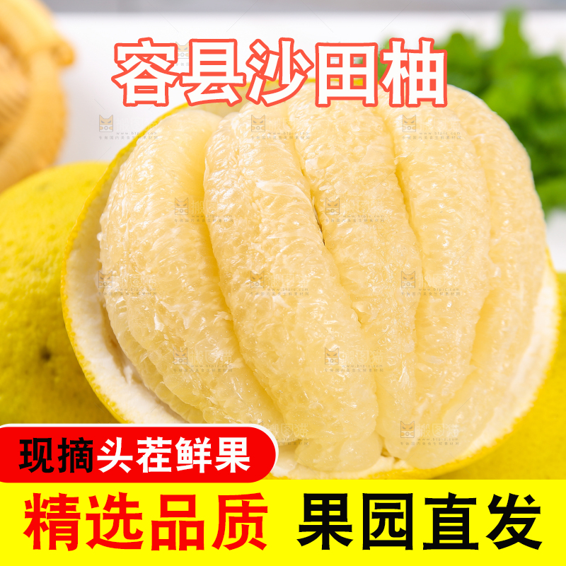 浅底上的沙田柚