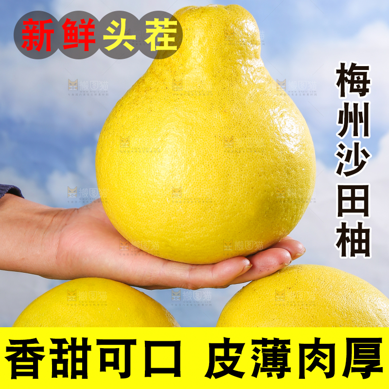 浅底上的沙田柚