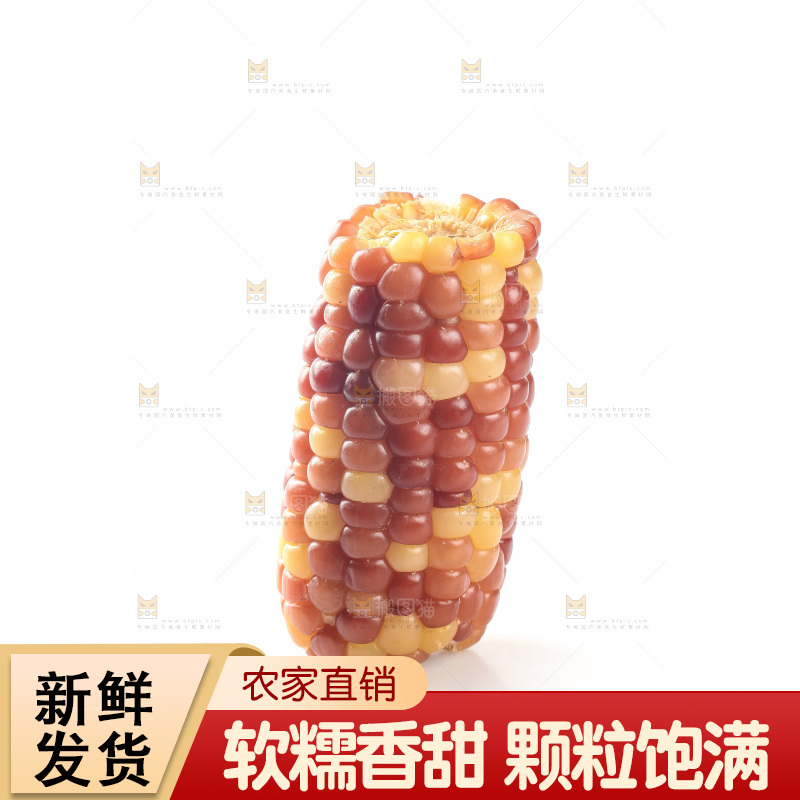 白底上的小花糯玉米
