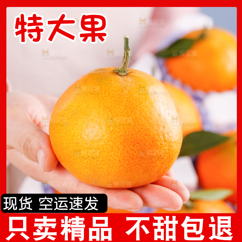 手里拿着一箱爱媛果冻橙