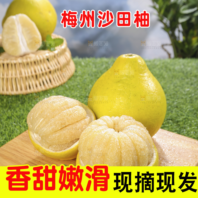 浅底上的沙田柚
