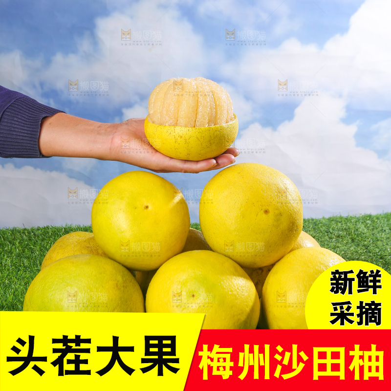 浅底上的沙田柚
