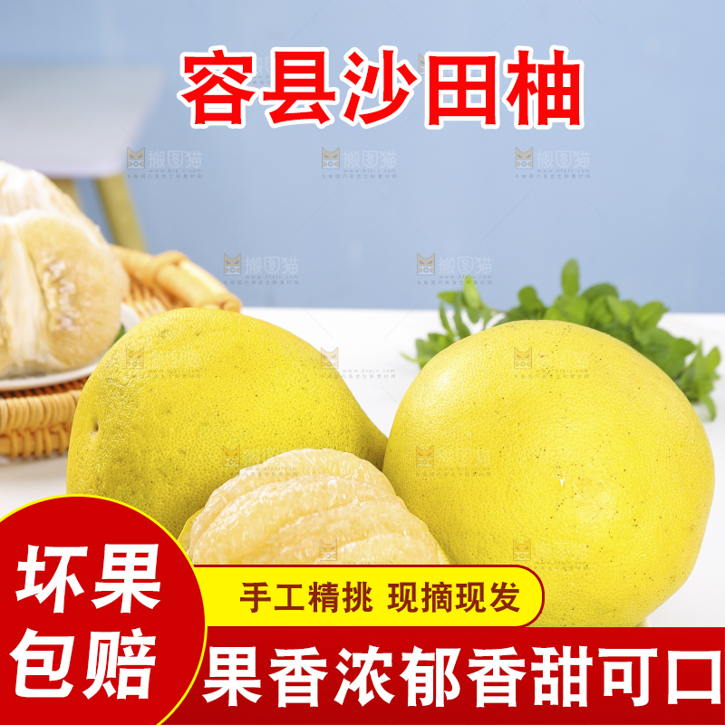 浅底上的沙田柚