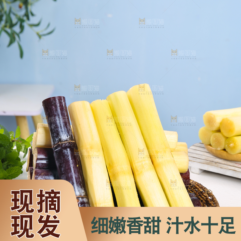 浅底上的黑皮甘蔗