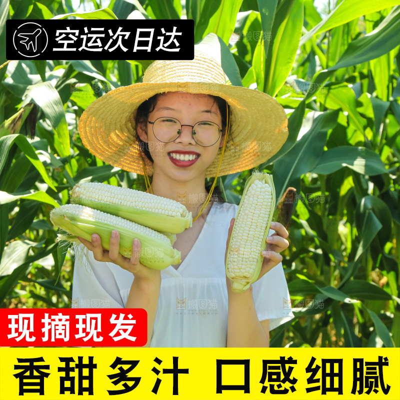 手里拿着牛奶玉米