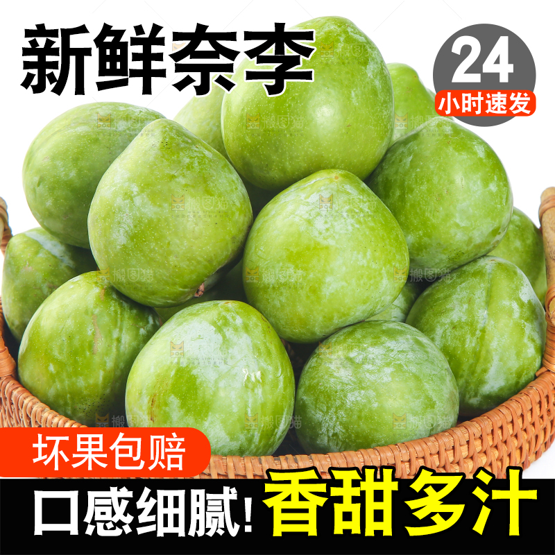 白底上的奈李