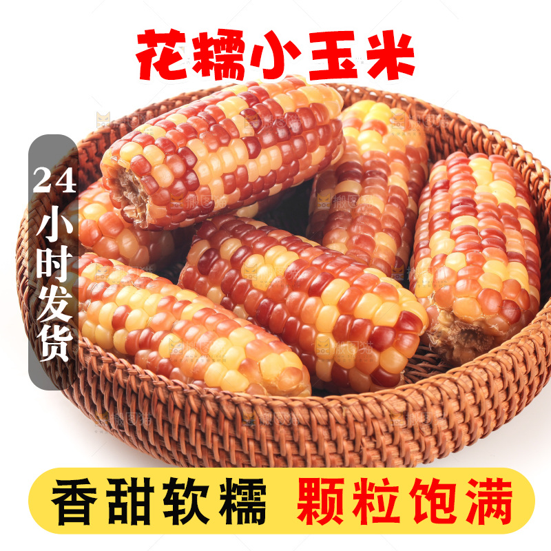 白底上的小花糯玉米