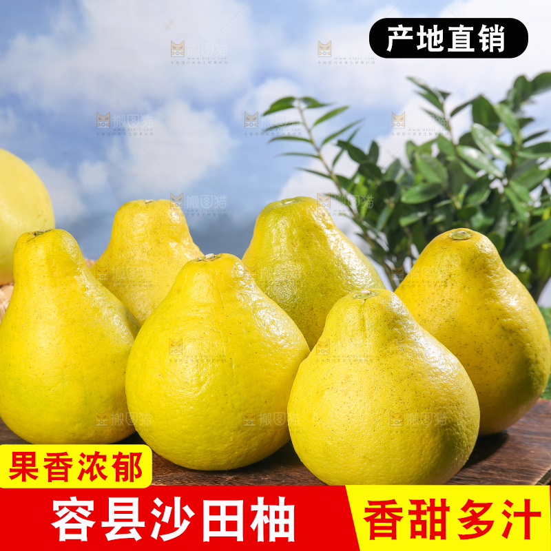 浅底上的沙田柚