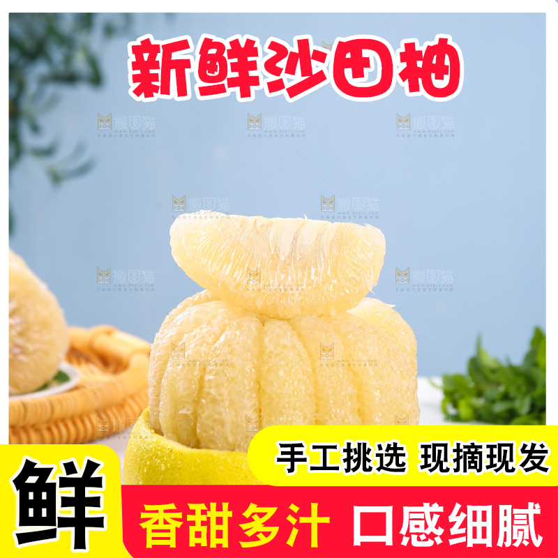 浅底上的沙田柚