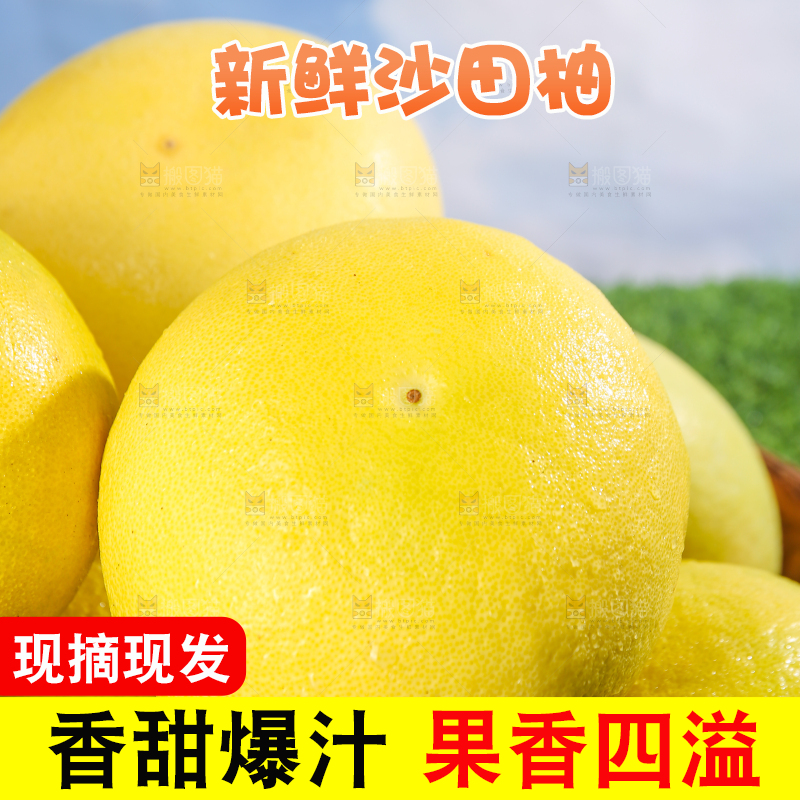 浅底上的沙田柚