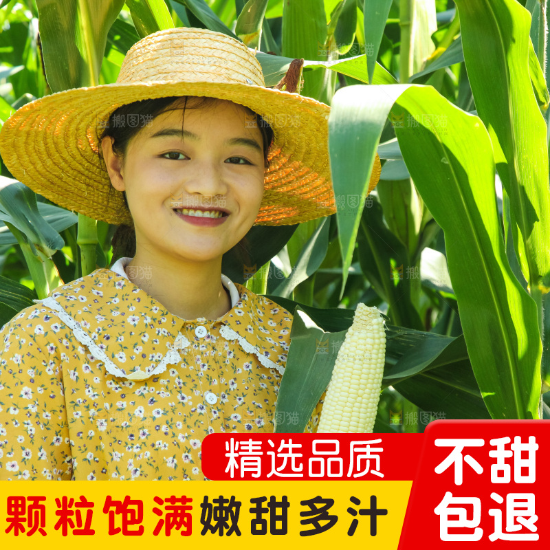 手里拿着牛奶玉米