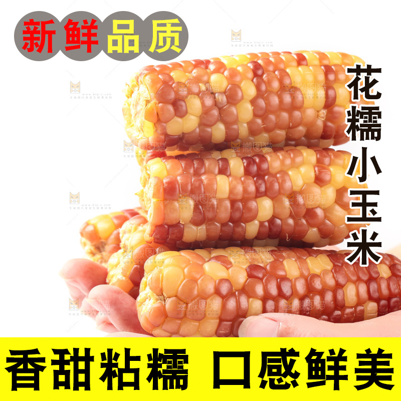 白底上的小花糯玉米