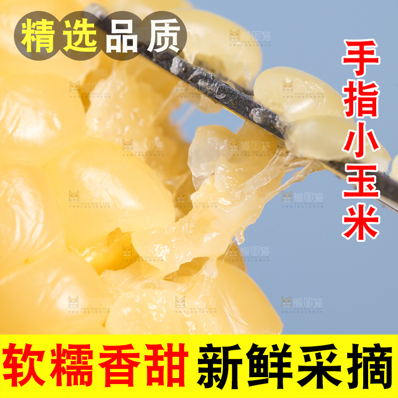 浅底上的手指糯玉米