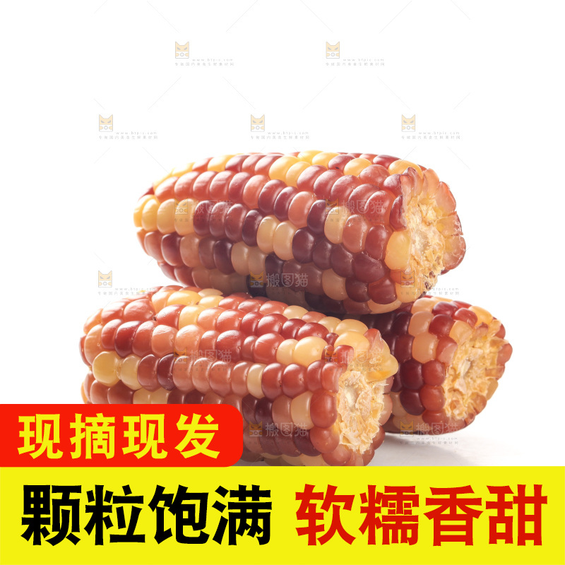 白底上的小花糯玉米
