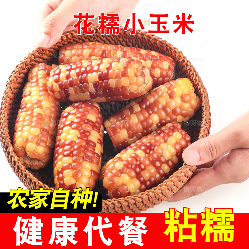 白底上的小花糯玉米