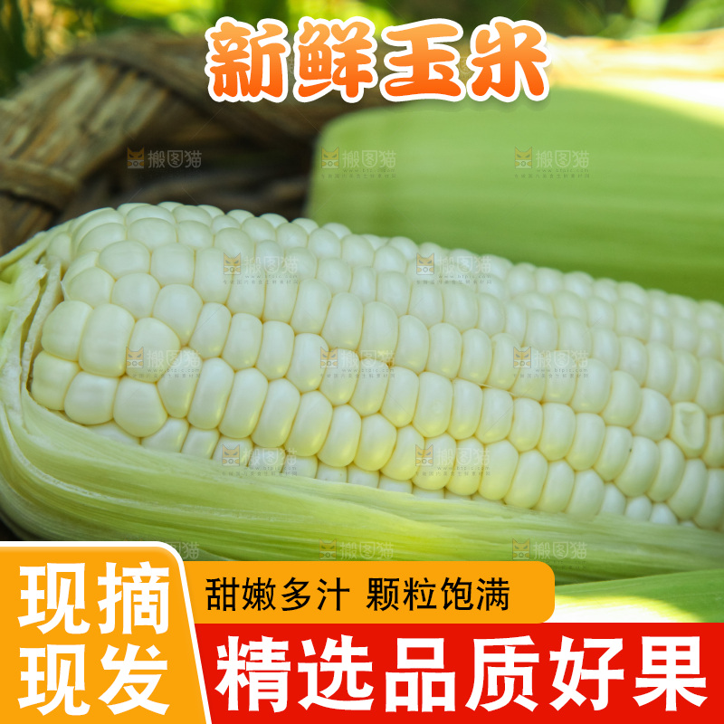 手里拿着牛奶玉米