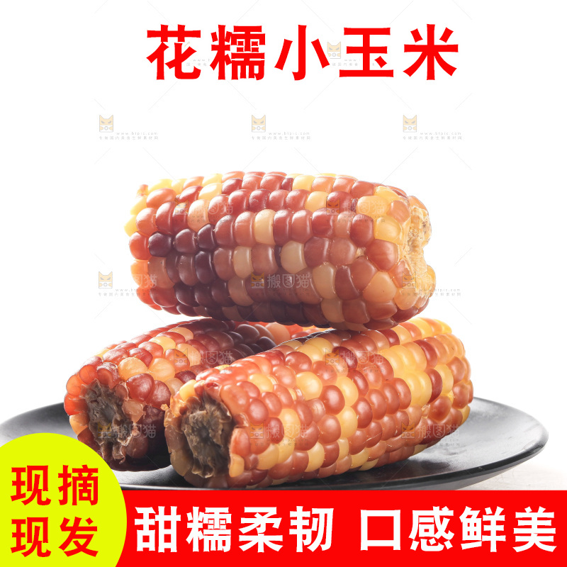 白底上的小花糯玉米