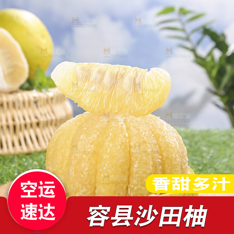浅底上的沙田柚