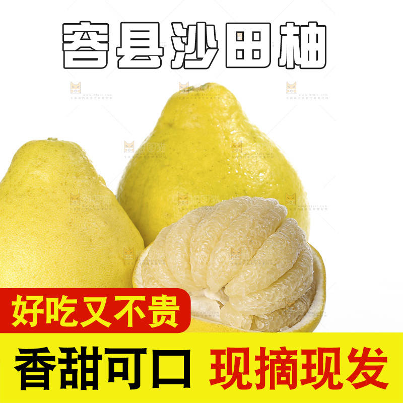 白底上的沙田柚