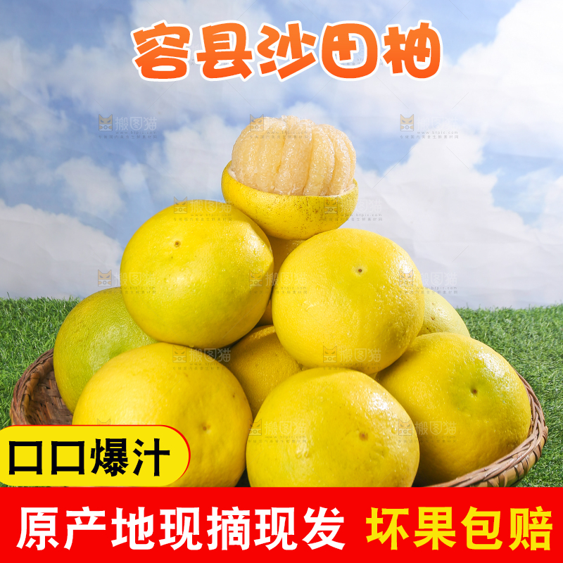 浅底上的沙田柚