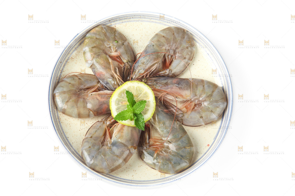 白底上的大虾