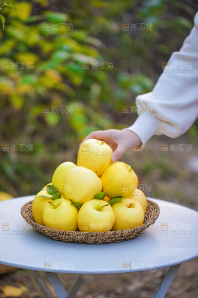 手里拿着黄元帅苹果