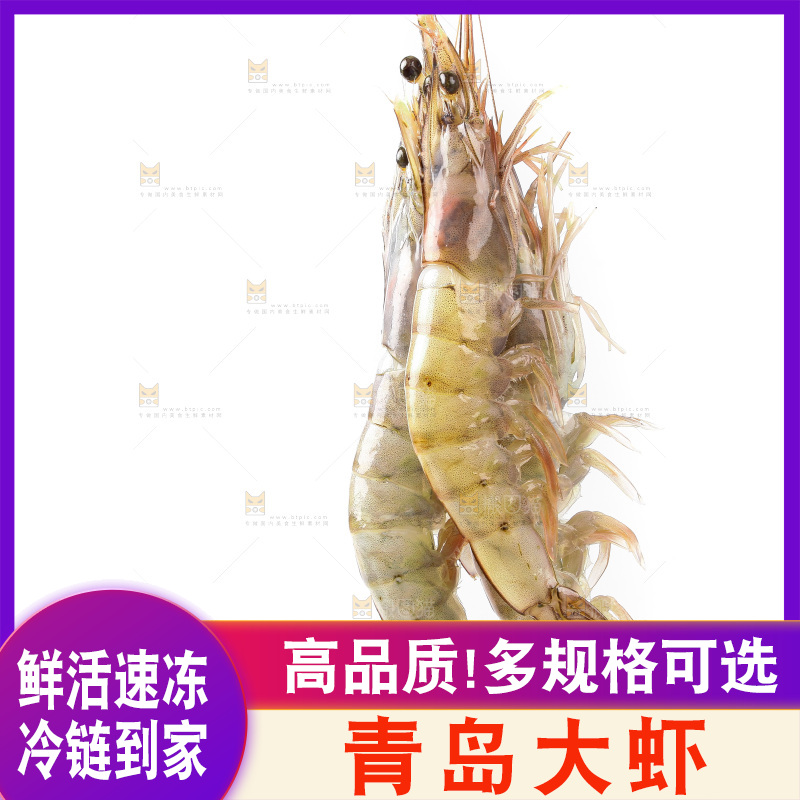 白底上的大虾