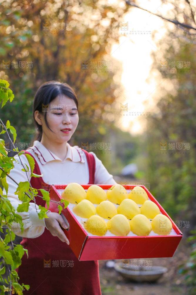 手里拿着黄元帅苹果