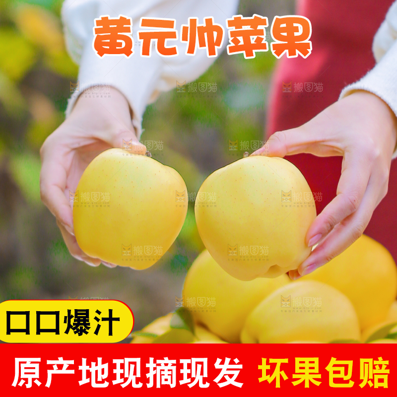 手里拿着黄元帅苹果