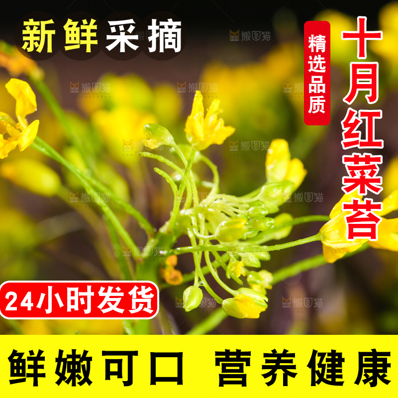 深底上的红菜苔