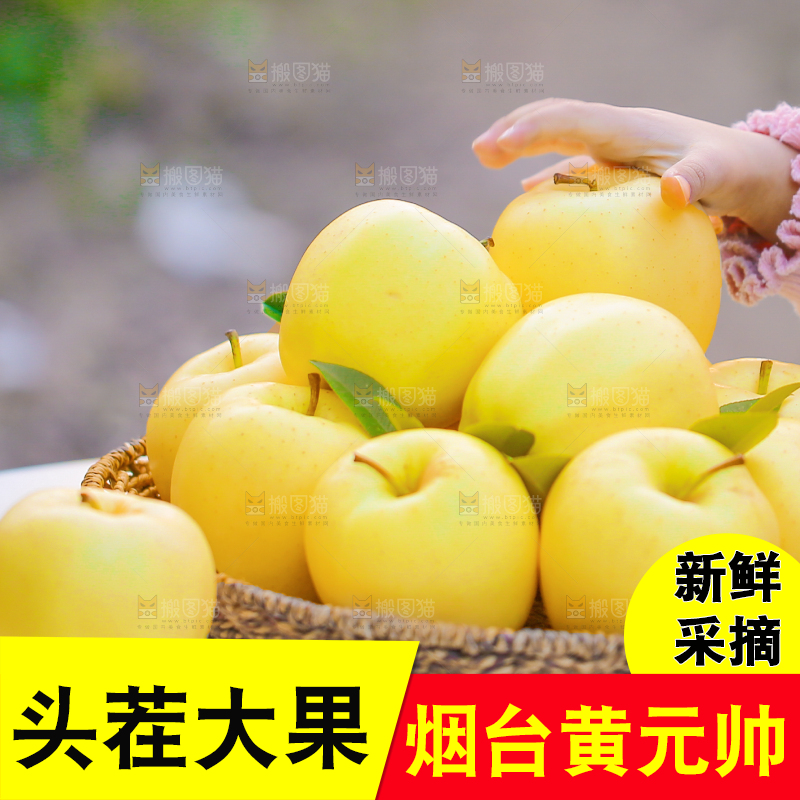 手里拿着黄元帅苹果