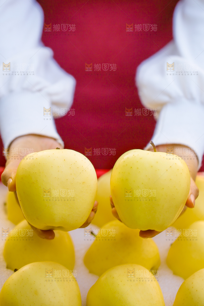 手里拿着黄元帅苹果