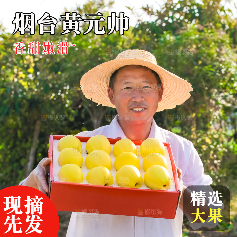 手里拿着黄元帅苹果