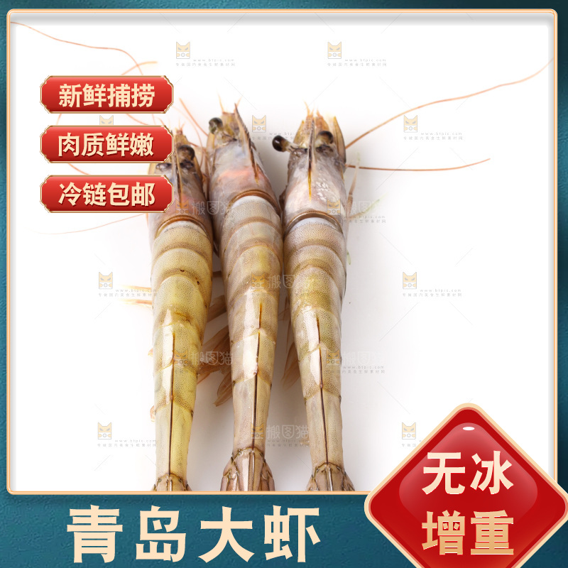 白底上的大虾