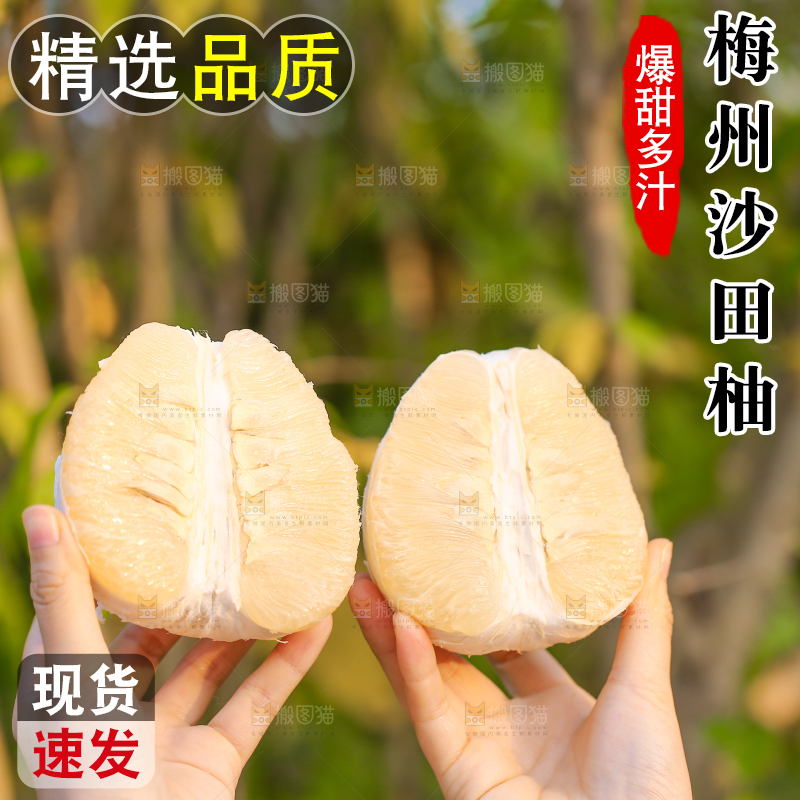 手里拿着沙田柚