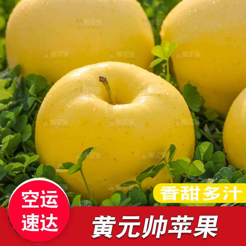 手里拿着黄元帅苹果
